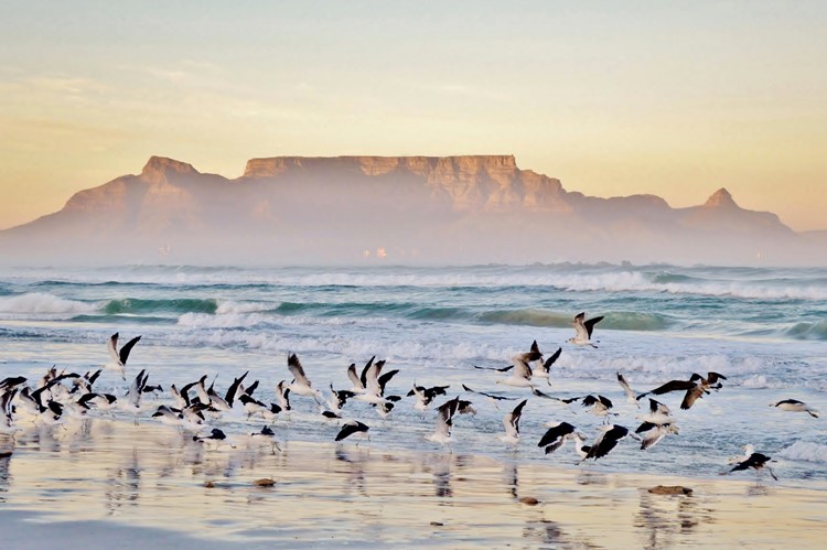 Uitzicht op de Tafelberg
